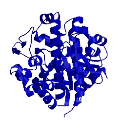 Image of CATH 1jpi