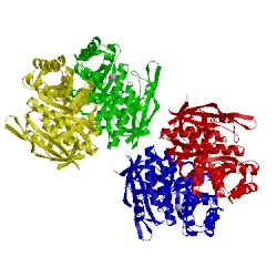 Image of CATH 1jpm