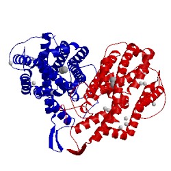 Image of CATH 1jpr