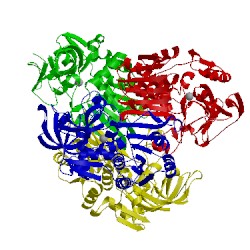 Image of CATH 1jqb