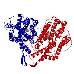 Image of CATH 1jqc