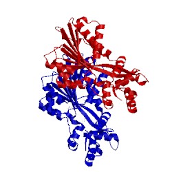 Image of CATH 1jqd