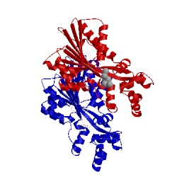 Image of CATH 1jqe