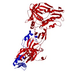 Image of CATH 1jqm