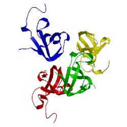 Image of CATH 1jqq