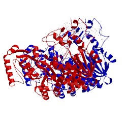 Image of CATH 1jrz