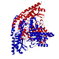 Image of CATH 1js6