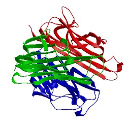 Image of CATH 1jtz