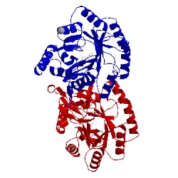 Image of CATH 1jub