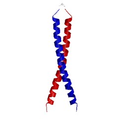 Image of CATH 1jun