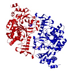 Image of CATH 1jv3