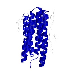 Image of CATH 1jv7