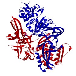 Image of CATH 1jva