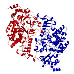 Image of CATH 1jvg