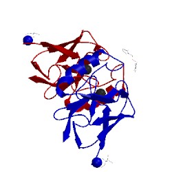 Image of CATH 1jvl