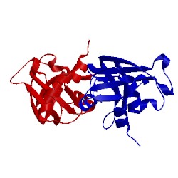 Image of CATH 1jvv