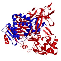 Image of CATH 1jvz