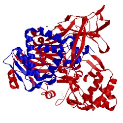 Image of CATH 1jw0