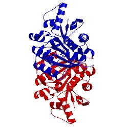 Image of CATH 1jxi