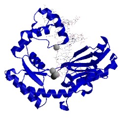 Image of CATH 1jxl