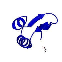 Image of CATH 1jxx