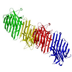 Image of CATH 1jyi