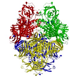 Image of CATH 1jyx