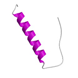 Image of CATH 1k04A01