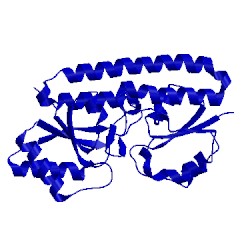 Image of CATH 1k0f