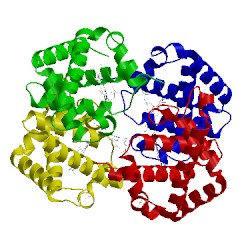 Image of CATH 1k0y