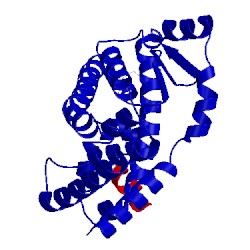 Image of CATH 1k4w