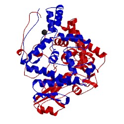 Image of CATH 1k5q