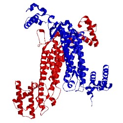Image of CATH 1k62