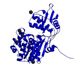 Image of CATH 1k6x