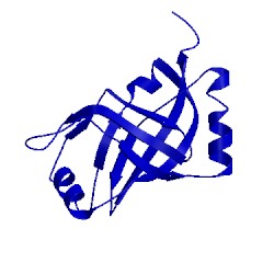 Image of CATH 1k8h