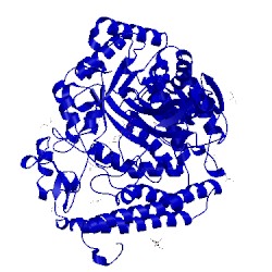 Image of CATH 1k9f