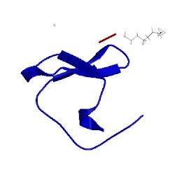 Image of CATH 1k9q
