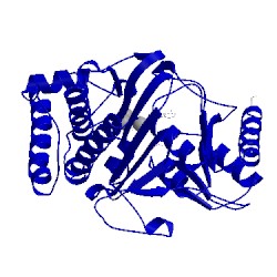 Image of CATH 1k9y