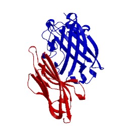 Image of CATH 1kac