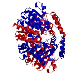 Image of CATH 1kah