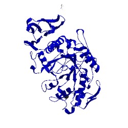 Image of CATH 1kb3