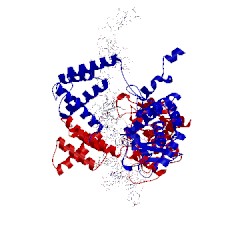 Image of CATH 1kbu