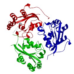 Image of CATH 1kdn