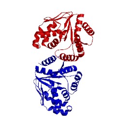 Image of CATH 1kdp