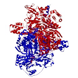 Image of CATH 1kek