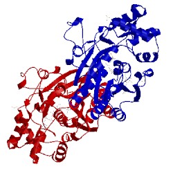 Image of CATH 1kep