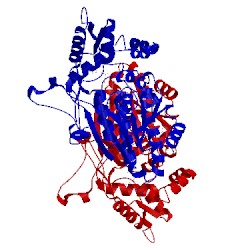 Image of CATH 1keu