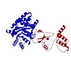 Image of CATH 1kfj