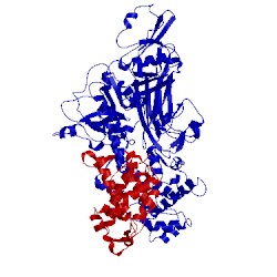 Image of CATH 1kfu