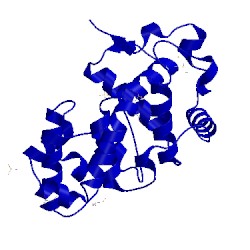 Image of CATH 1kg6